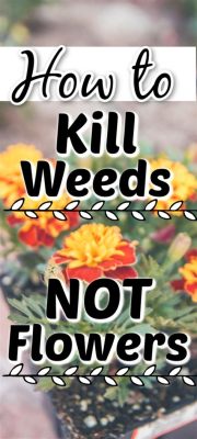 does weed killer kill flowers: An Unexpected Journey Through Garden Chemistry and Ecology