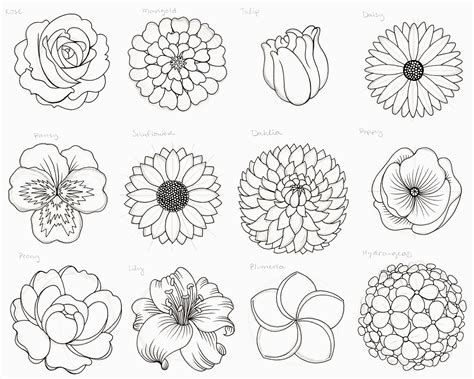 easy how to draw flowers and the importance of color in art