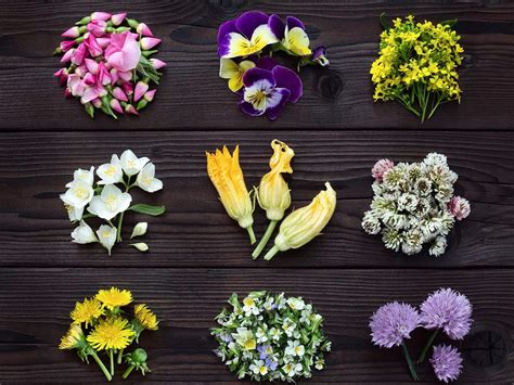 edible flowers where to buy: Exploring the Exotic World of Edible Blossoms and Their Market Availability