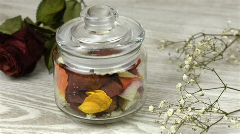 how to preserve flowers in a jar: the art of botanical photography